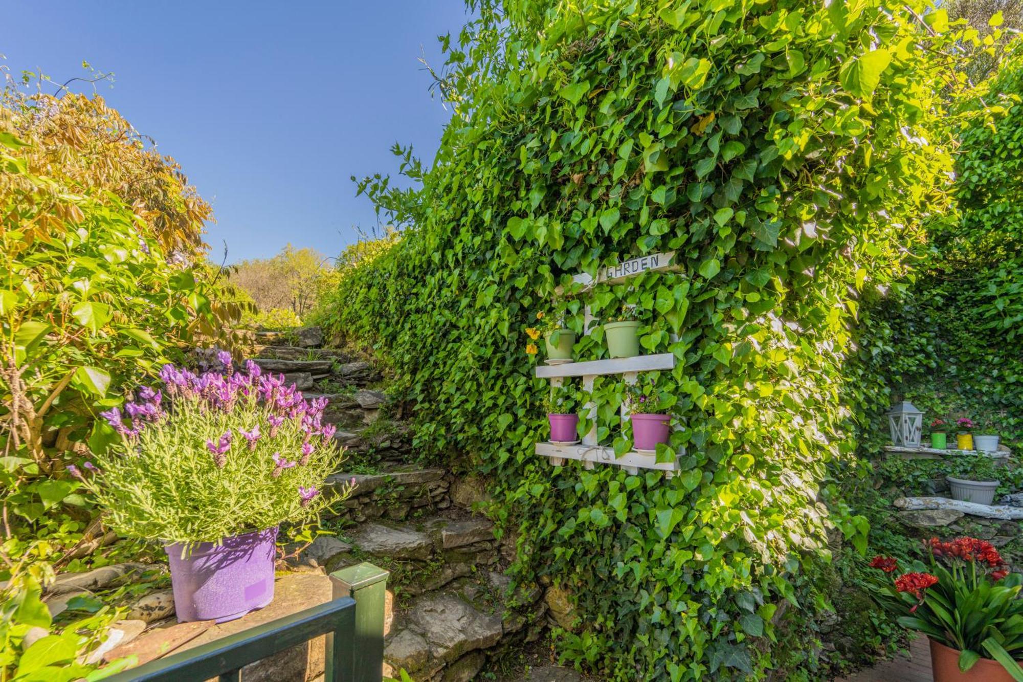 Casale In Vigna, Cinqueterrecoast Villa Casarza Ligure Exterior photo